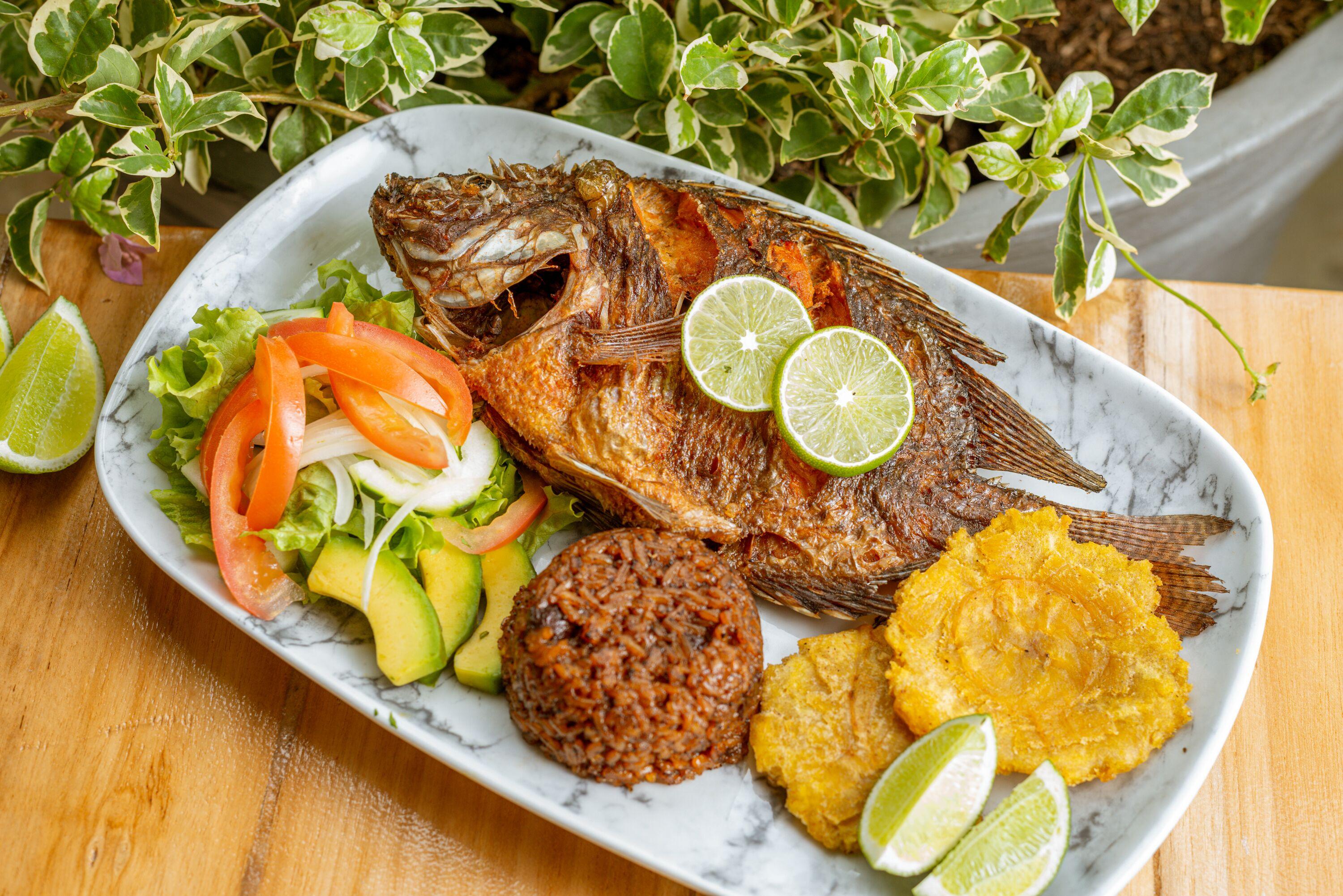 Coco By Croma Cartagena